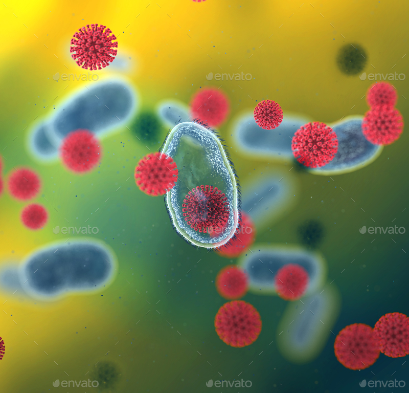 Antibodies Killing Corona Virus by Abdelrahman_Elmasry GraphicRiver